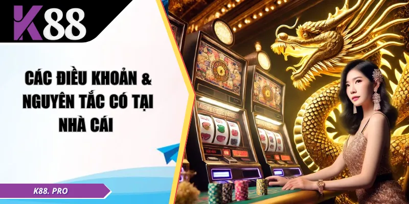 Các điều khoản & nguyên tắc có tại nhà cái