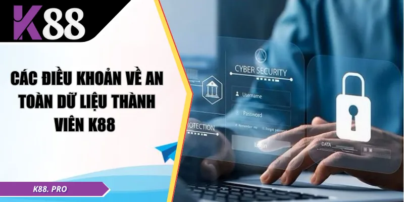 Các điều khoản về an toàn dữ liệu thành viên K88