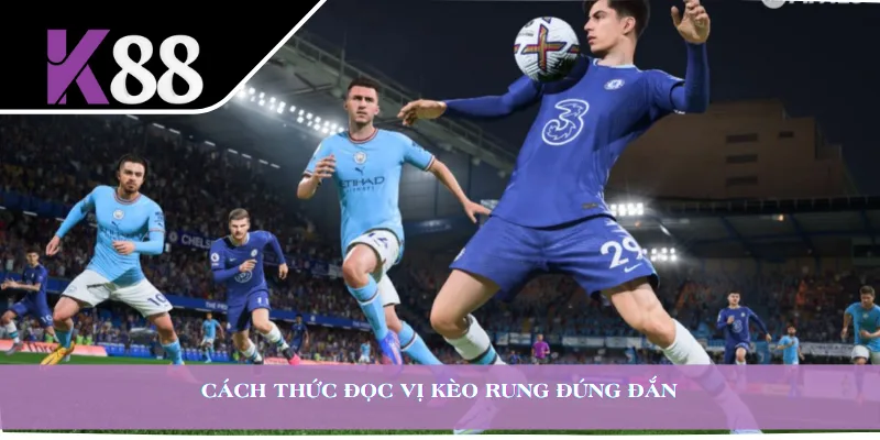Cách thức đọc vị kèo rung đúng đắn