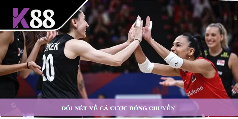 Đôi nét về cá cược bóng chuyền