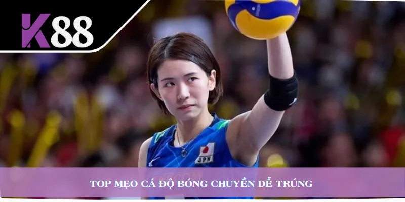 Top mẹo cá độ bóng chuyền dễ trúng